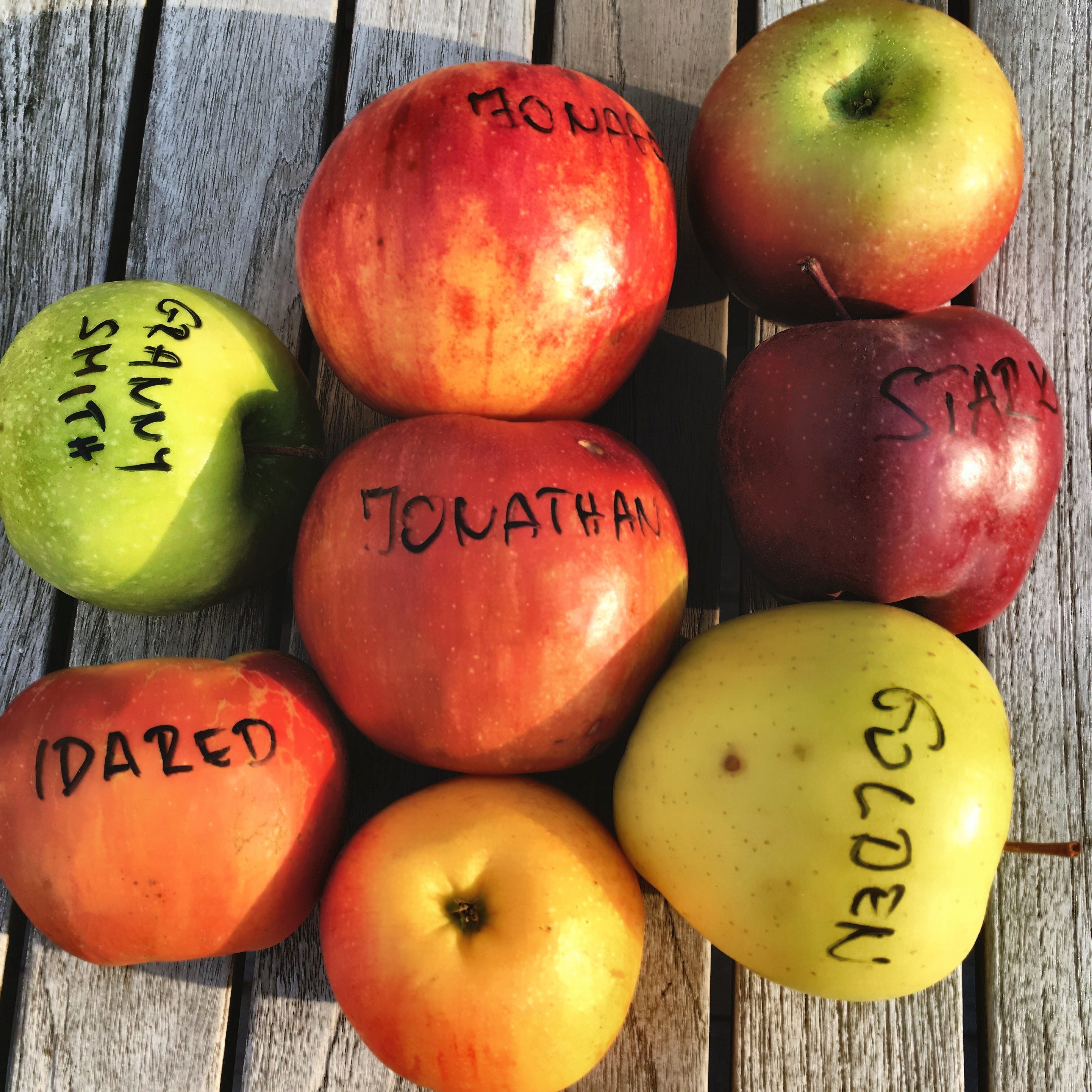 Hány kalória egy alma? Mutatjuk, mennyi az alma kalória tartalma, 1 alma hány kalória - HelloVidék