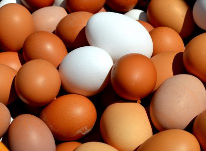 Fipronillal mérgezett tojás. A kép illusztráció, forrás: Pixabay.